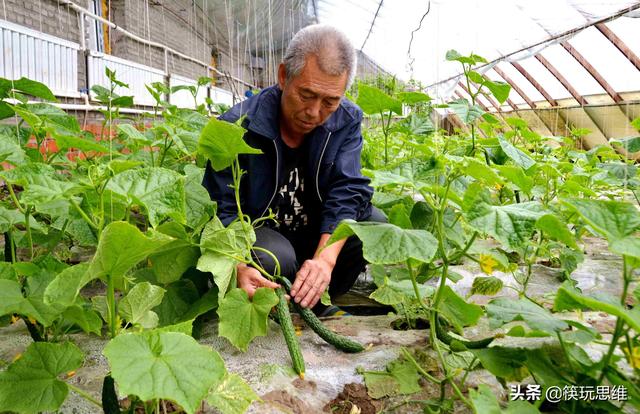 微信图片_20200108100346.jpg 微信图片_20200108100346.jpg